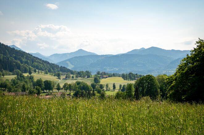 Blick Richtung Niemandsbichl