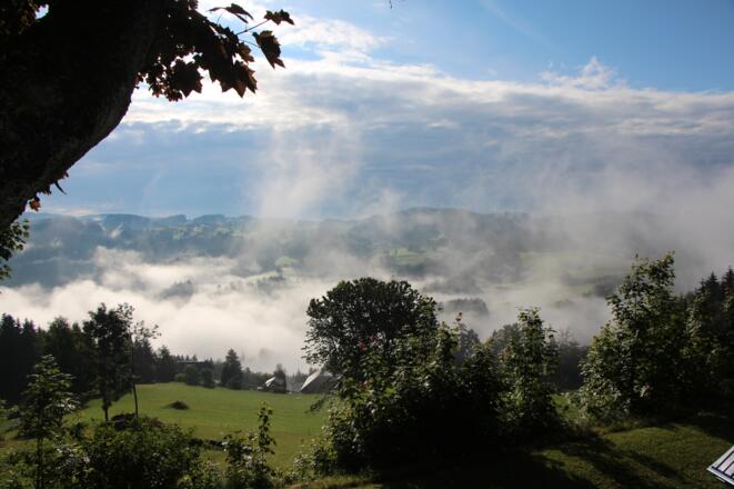 Blick von Kaltenberg