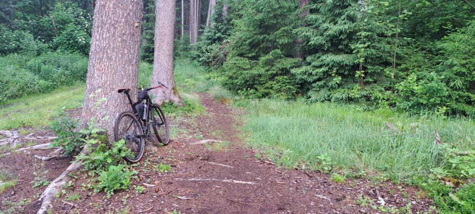 Schöne Trailpassagen bei der Stadtausfahrt von Spittal...
