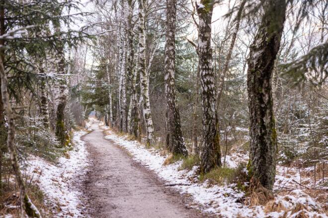 Kendlmühfilze im Winter leicht angezuckert