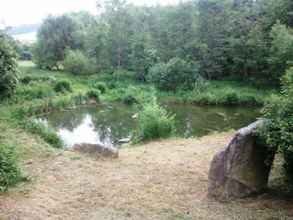 Weiteres Biotop