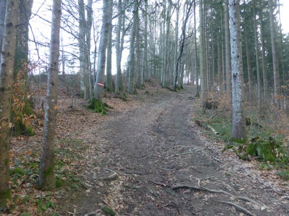Grillenparz-Trail - Schlierbach