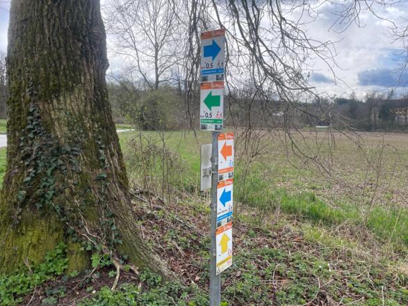 Auen-Trail - Steyr Unterhimmler Au
