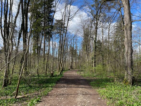 Auen-Trail - Steyr Unterhimmler Au