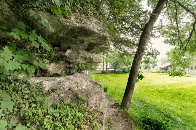 Lebensader Natur Felswand