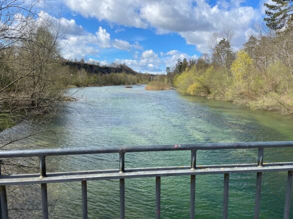 Auen-Trail - Steyr Unterhimmler Au