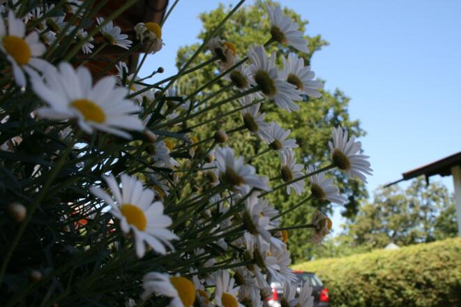 https://images.bs.ds-srv.net/objekt_pics/obj_full_31488_012.jpg