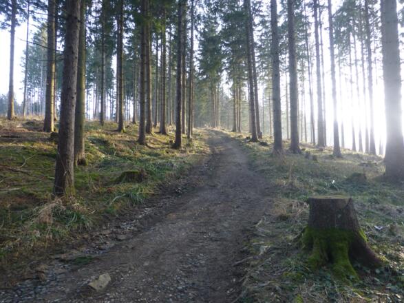 Grillenparz-Trail - Schlierbach