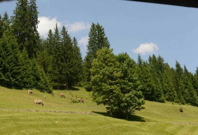 Ausblick