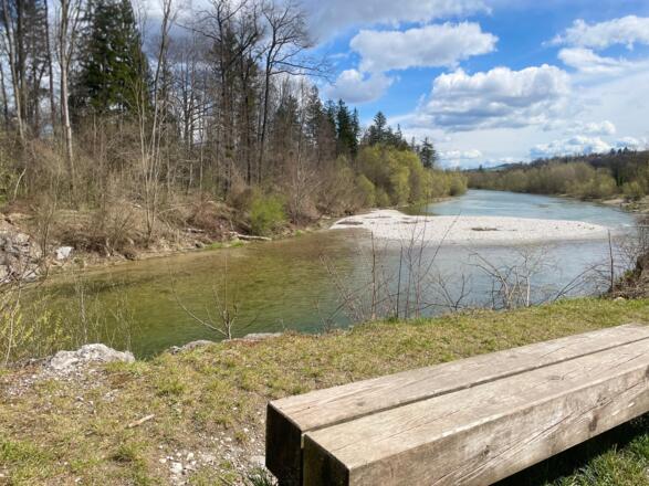 Auen-Trail - Steyr Unterhimmler Au