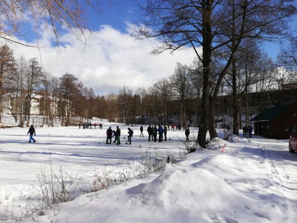 Eissport am Teich beim Stift Schlägl