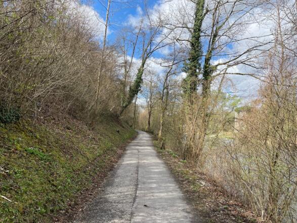 Auen-Trail - Steyr Unterhimmler Au