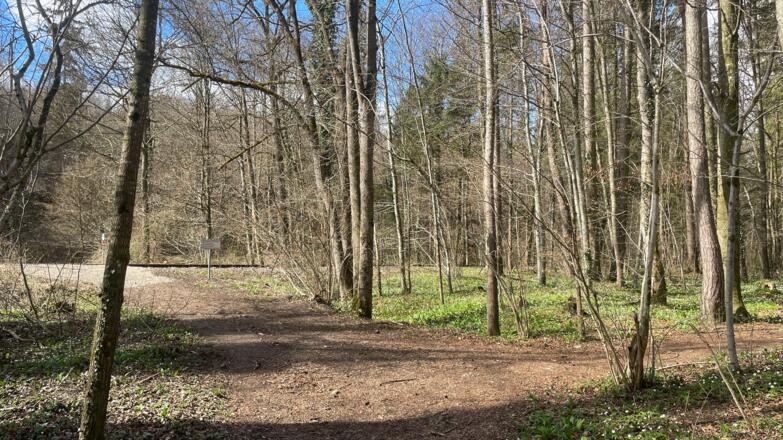 Auen-Trail - Steyr Unterhimmler Au