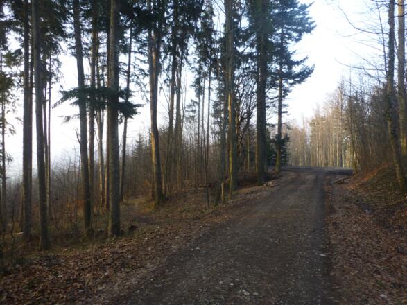 Grillenparz-Trail - Schlierbach