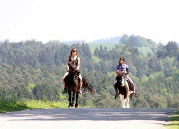 Reiten