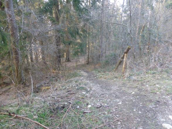 Grillenparz-Trail - Schlierbach