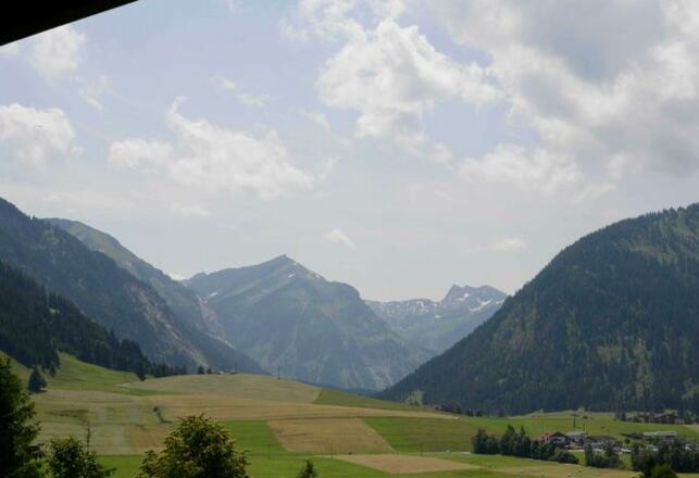 Ausblick