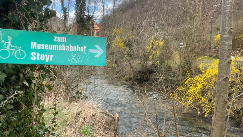Auen-Trail - Steyr Unterhimmler Au