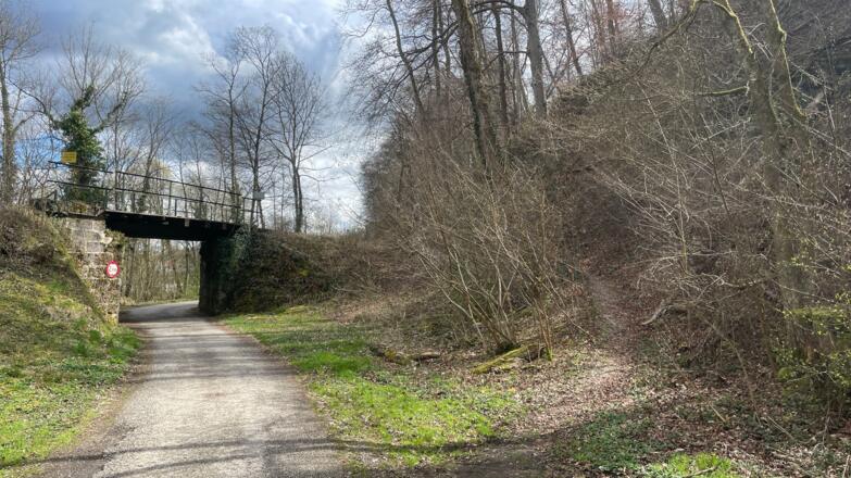 Auen-Trail - Steyr Unterhimmler Au