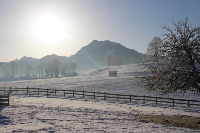 Breitenstein