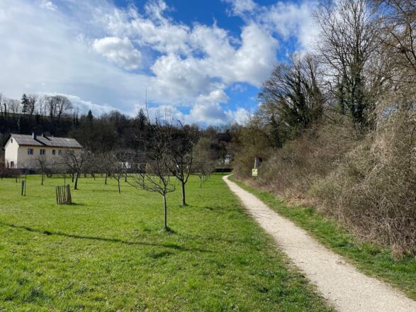 Auen-Trail - Steyr Unterhimmler Au