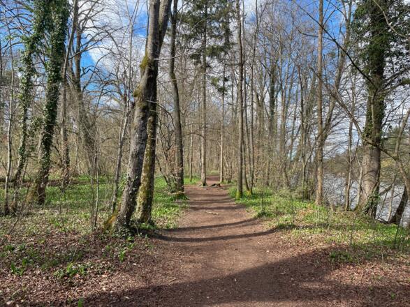 Auen-Trail - Steyr Unterhimmler Au