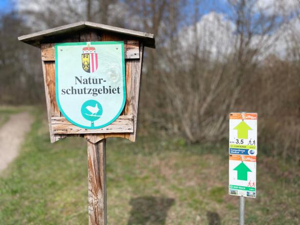 Auen-Trail - Steyr Unterhimmler Au