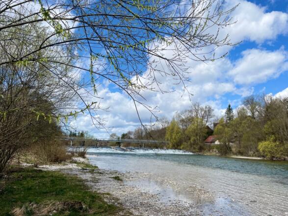 Auen-Trail - Steyr Unterhimmler Au