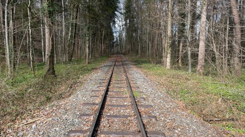 Auen-Trail - Steyr Unterhimmler Au