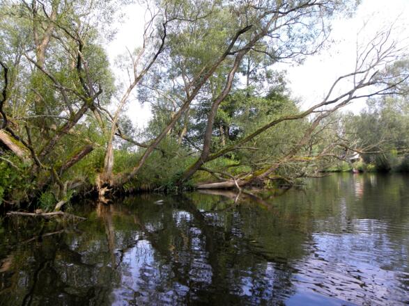 Andis Fishing Adventure