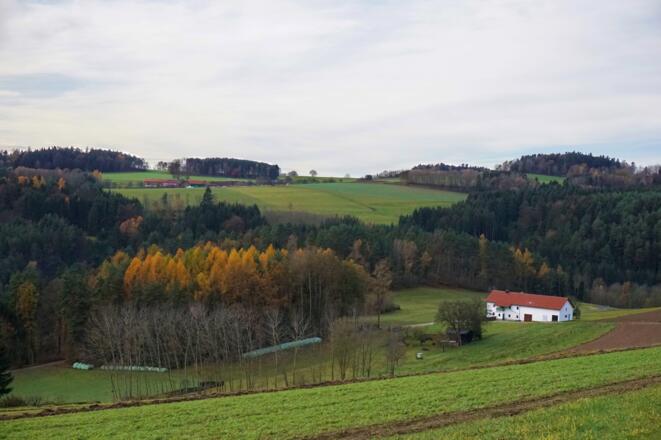 Landschaft
