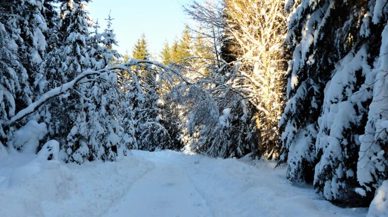 Wanderweg &#039;Forelle&#039;