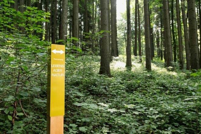 Lebensader Natur Wegweisen