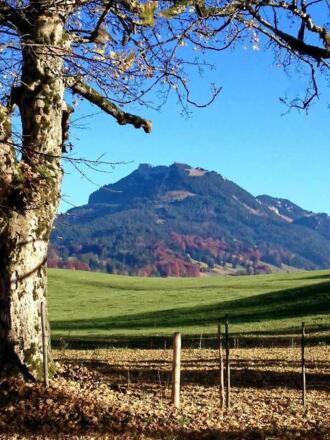 Ausblick