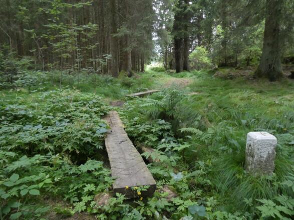 Grenzsteig an der Grenze zu Tschechien