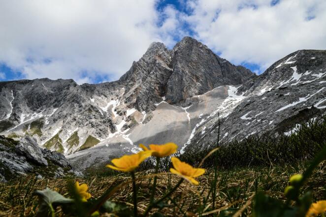 Hundstod und Seehorn