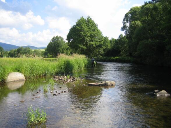 Große Mühl in Aigen-Schlägl