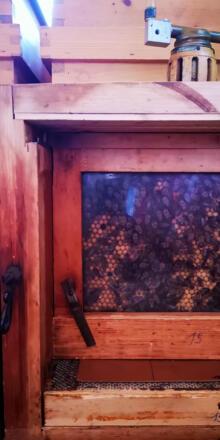 Lehrbienenstand Gmund Bild 5