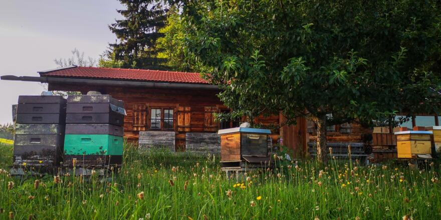 Lehrbienenstand Gmund Bild 1