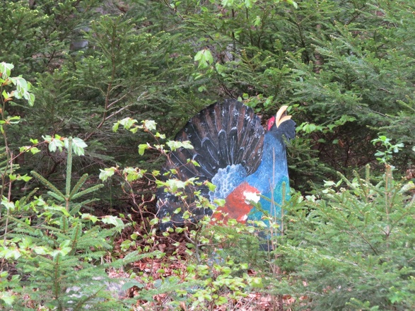 Bergwalderlebnispfad Ettal - Tierarten