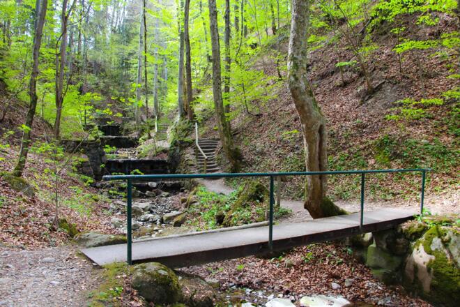 Timberlandtrail