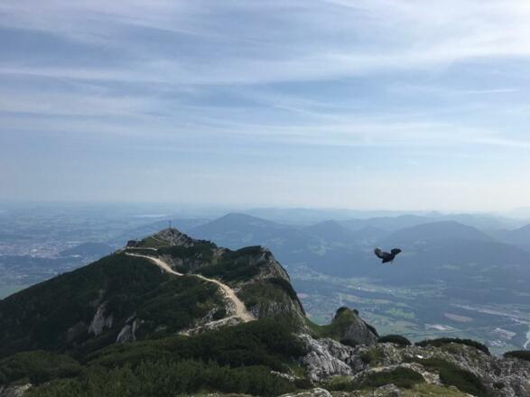 Salzburger Hochthron