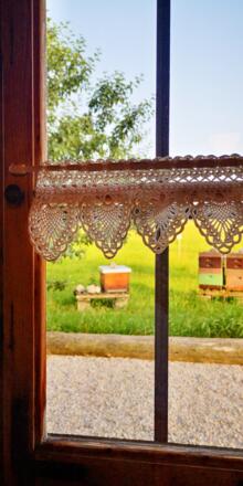 Lehrbienenstand Gmund Bild 7