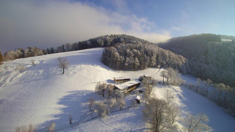 Der Oberrißhof von oben