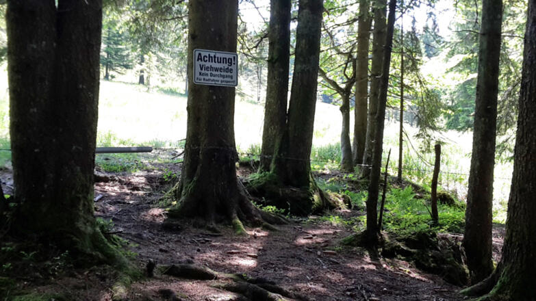Sperrschild an der Lexenalm. Trotzdem darf die Alm durchquert werden!