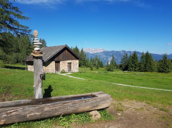 Holzalm Ausblick
