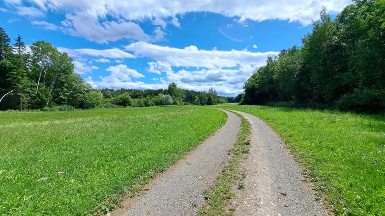 Wanderweg zwischen Grafrath und Inning am Ammersee