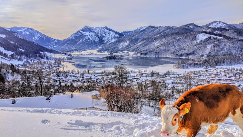 Ausblick vom Oberrißhof auf den Schliersee