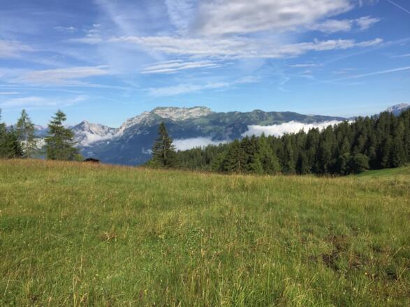 Holzalm Bischoferjoch