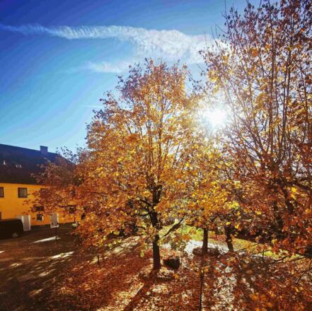 Gasthaus Seimayr